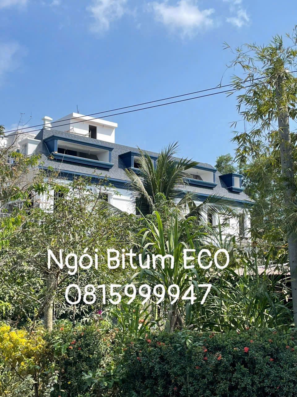 z6440348948671_b460f394daaf1ee5c89282bd18559f77
